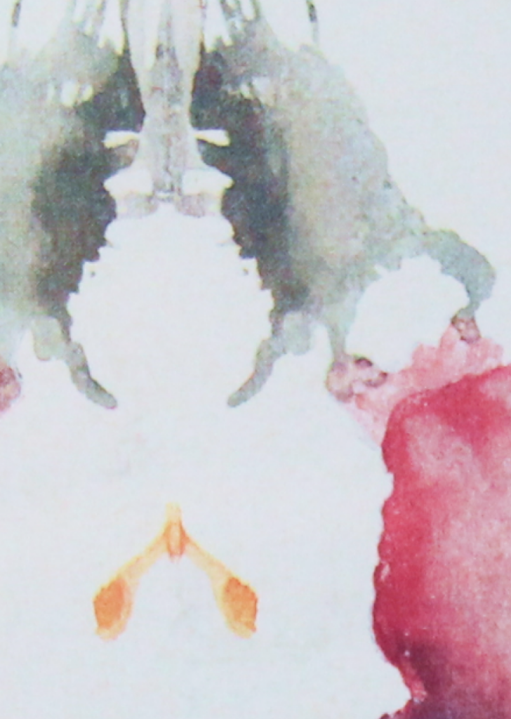 An abstracted photo of a colouful rorschach